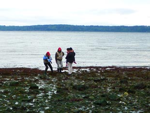 Beach Naturalists at Lincoln Park