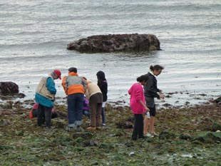 Beach Naturalists at Lincoln Park
